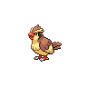 Imagem do pokemon pidgey