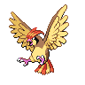 Imagem do pokemon pidgeotto