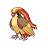 Imagem do pokemon pidgeot