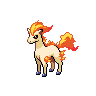 Imagem do pokemon ponyta