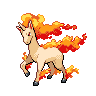Imagem do pokemon rapidash
