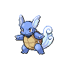 Imagem do pokemon wartortle